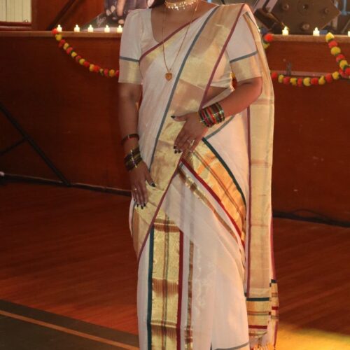 2206 - handloom tissue set mund with blouse