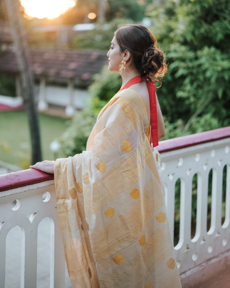 1109 LIZ MANGO SAREE-HTS - Image 9