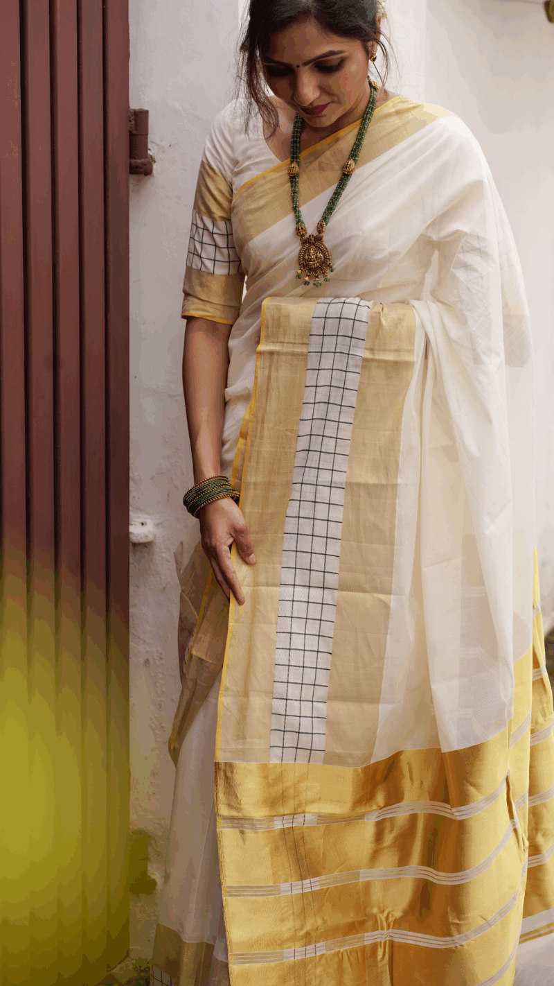 PASHA - SPECIAL BORDER SAREE 4483 - Image 3