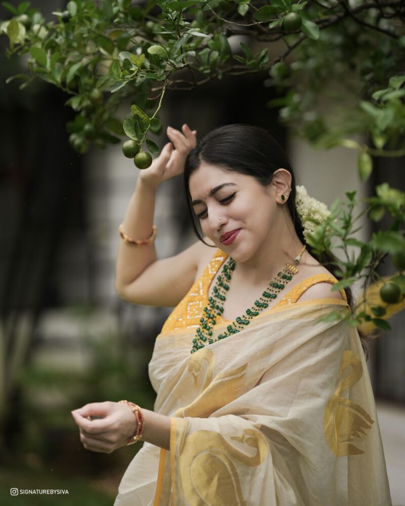 SWAN SAREE -  4499 - Image 5