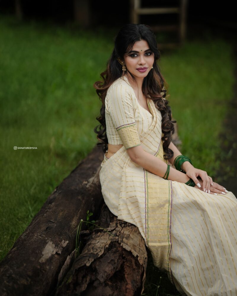 TYACHI - handloom tissue saree with ganga jamuna border 5011 - Image 15