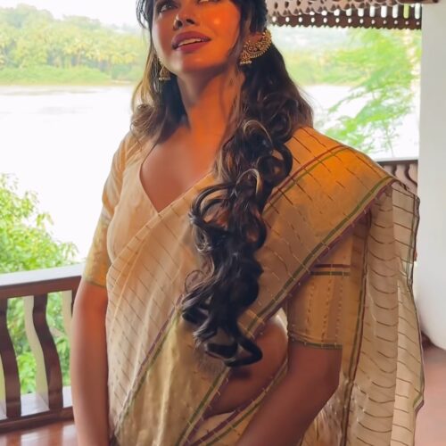 TYACHI - handloom tissue saree with ganga jamuna border 5011