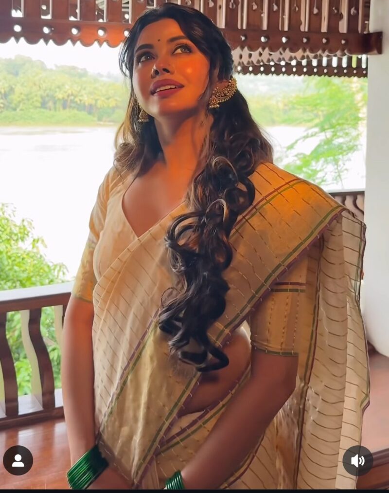 TYACHI - handloom tissue saree with ganga jamuna border 5011