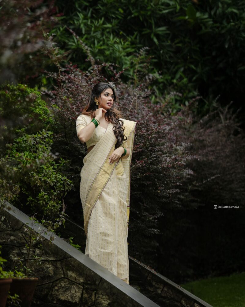 TYACHI - handloom tissue saree with ganga jamuna border 5011 - Image 16