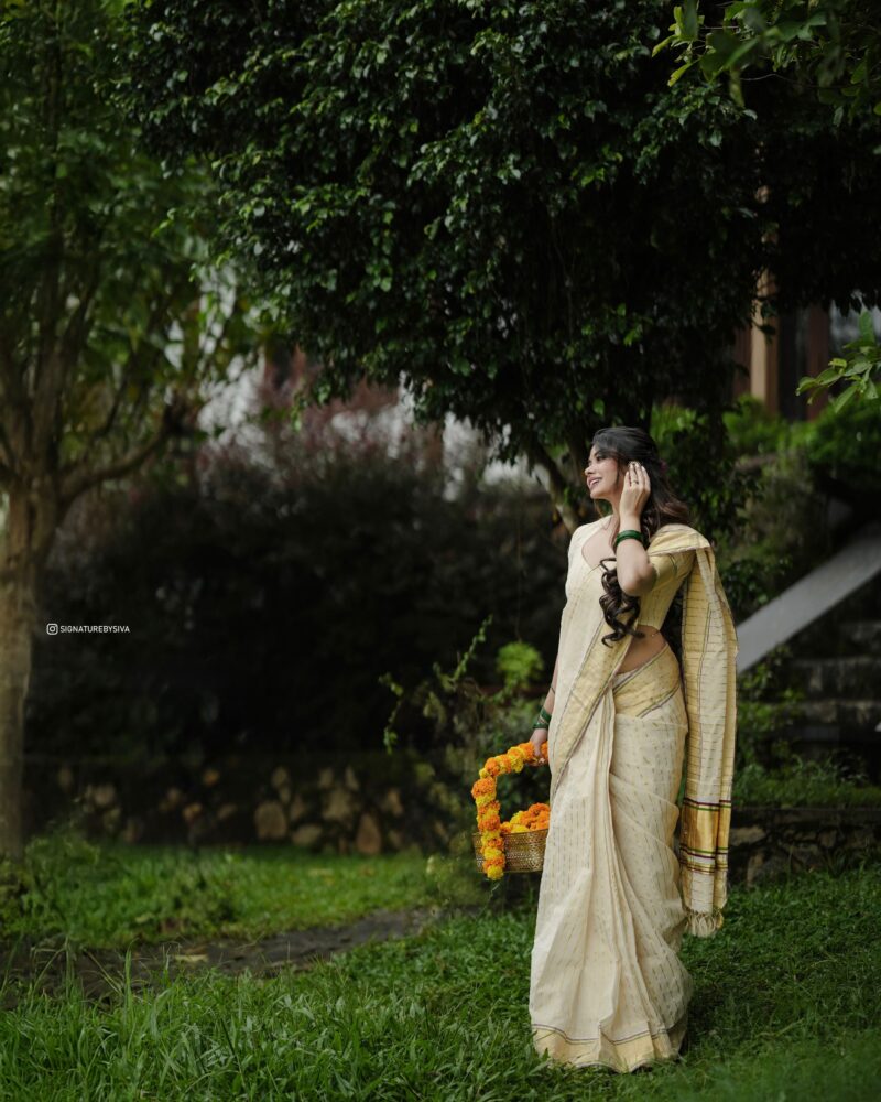 TYACHI - handloom tissue saree with ganga jamuna border 5011 - Image 18