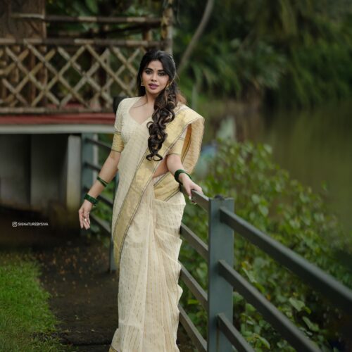 TYACHI - handloom tissue saree with ganga jamuna border 5011. READY TO DISPATCH