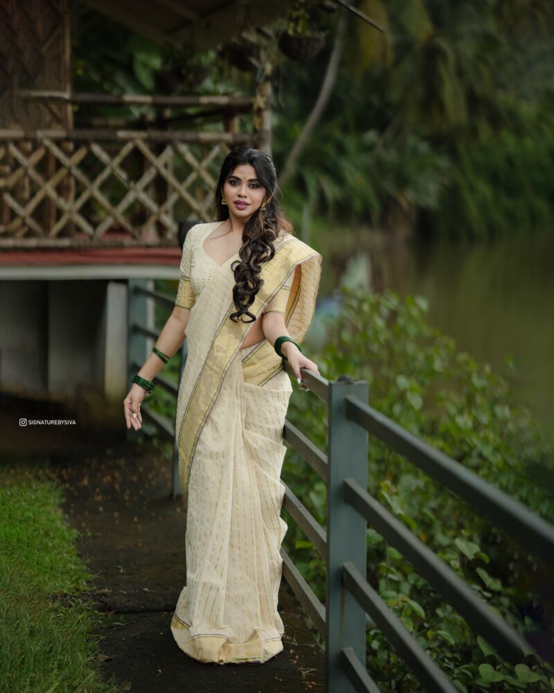 TYACHI - handloom tissue saree with ganga jamuna border 5011 - Image 6