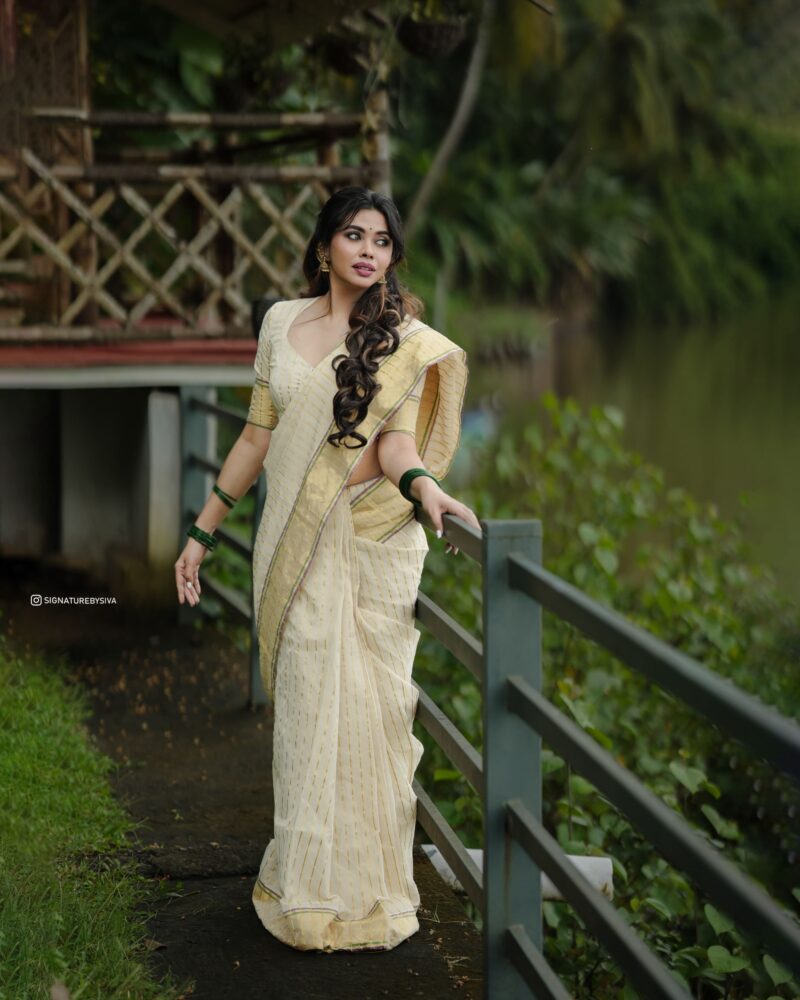 TYACHI - handloom tissue saree with ganga jamuna border 5011 - Image 10