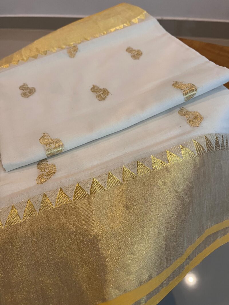 LIZ mayil saree -HCS - 814 (REFURBISHED) - Image 13