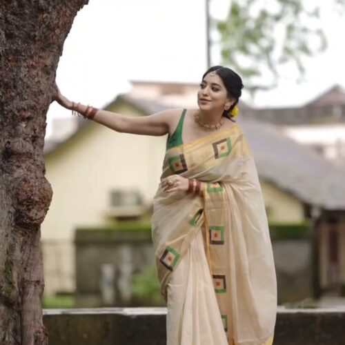 SIMONE- HANDLOOM TISSUE SAREE READYTO SHIP