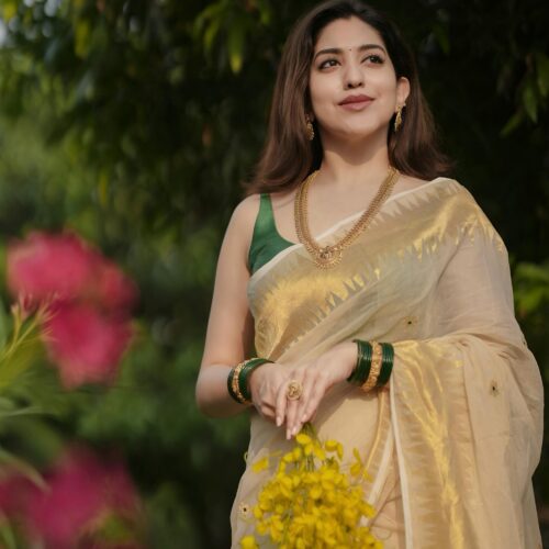 1016 LIz ZIG ZAG MEENA SAREE 2015