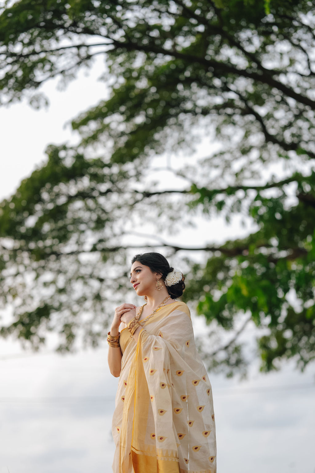 10 -ILA Pure Handloom Tissue Saree with Leaf & Meena Motifs | Premium Kerala Handloom Saree | Ready to Ship 20497 - Image 6